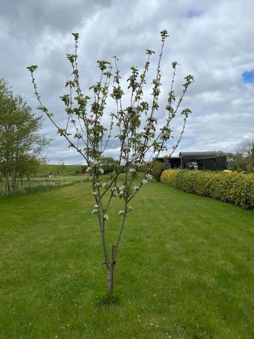 Breathnach Cottage Annex Knockleagha Ballina F26 D7E2 Luaran gambar