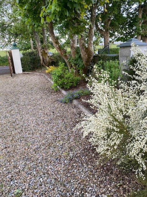 Breathnach Cottage Annex Knockleagha Ballina F26 D7E2 Luaran gambar