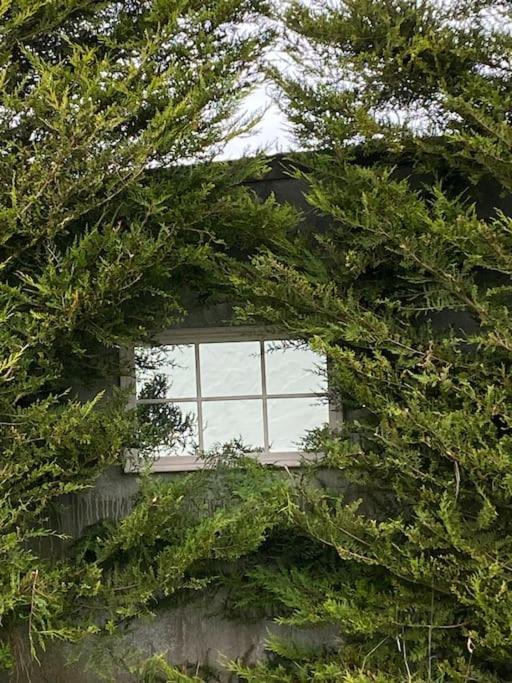 Breathnach Cottage Annex Knockleagha Ballina F26 D7E2 Luaran gambar
