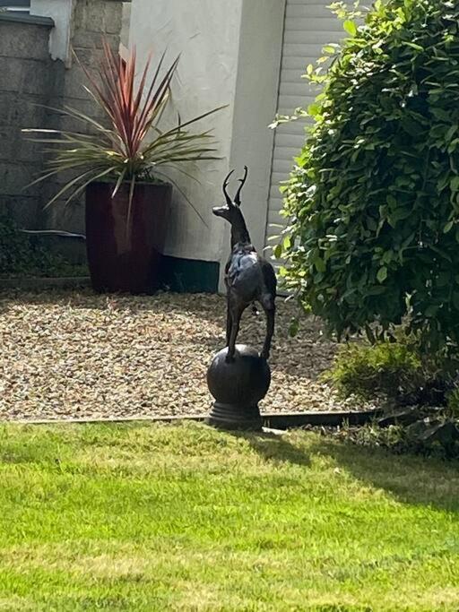 Breathnach Cottage Annex Knockleagha Ballina F26 D7E2 Luaran gambar